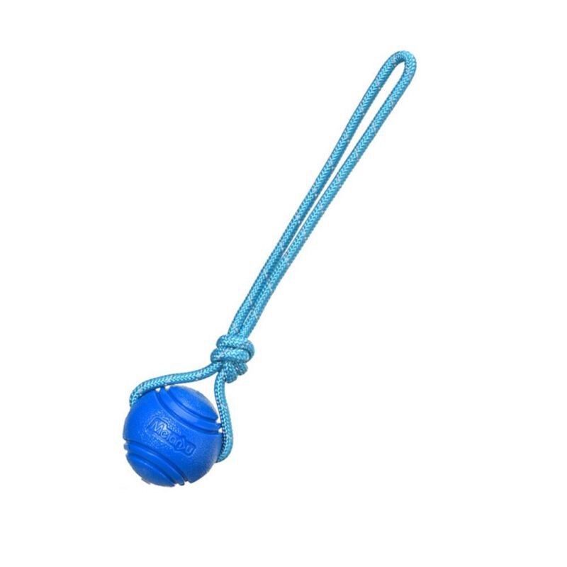 Interactive Solid Rope Molar Training Toys